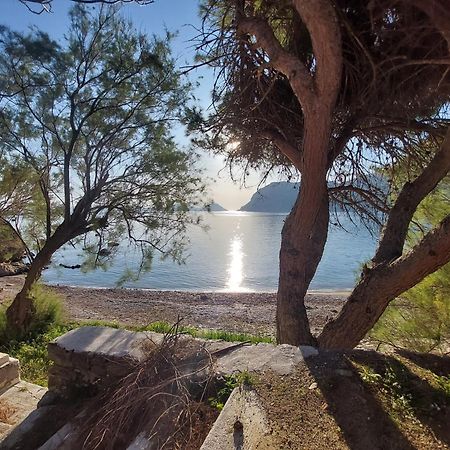 Maeiz Skopelos المظهر الخارجي الصورة