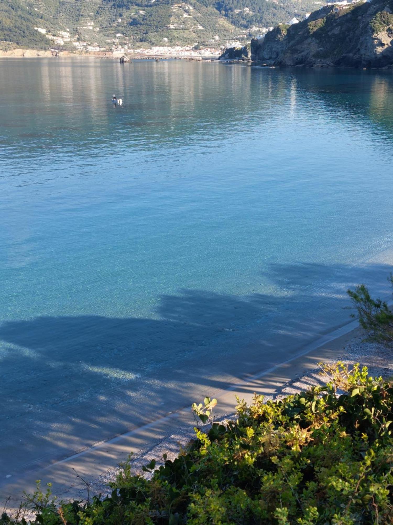 Maeiz Skopelos المظهر الخارجي الصورة