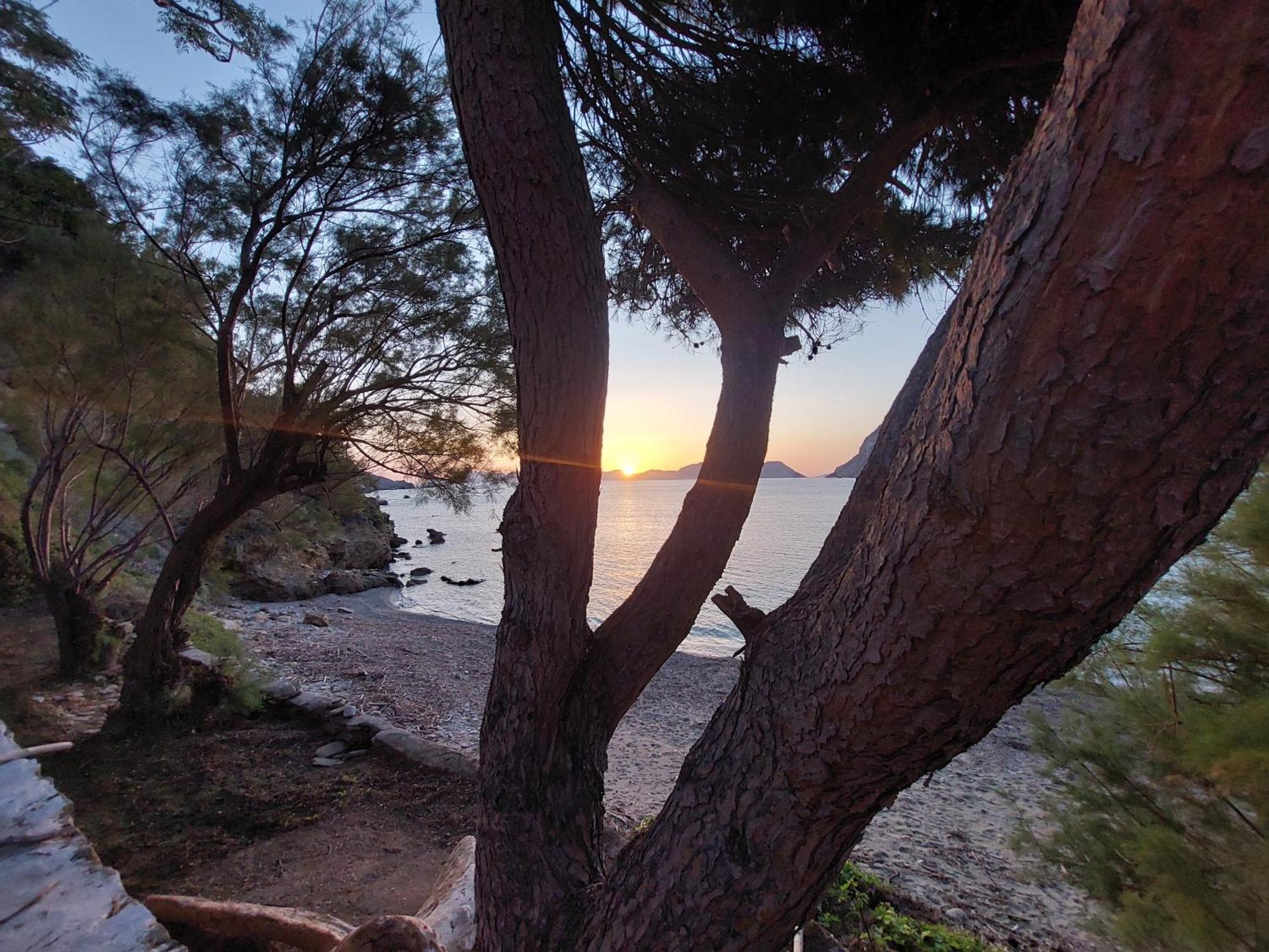 Maeiz Skopelos المظهر الخارجي الصورة